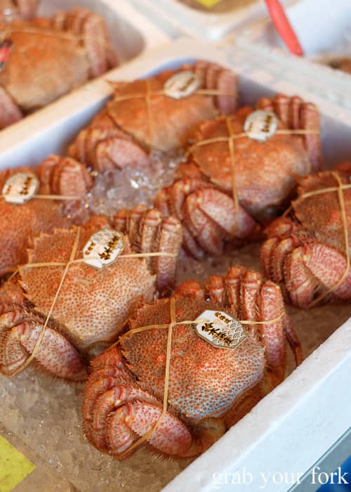 Crabs in the Sapporo Ramen Alley.